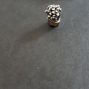 Pandora charm